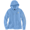 Carhartt Womens CLARKSBURG GRAPHIC Hooded Sweatshirt