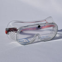 DUST GOGGLE   Clear lens