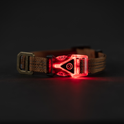 Carhartt LIGHTED DOG Collar