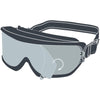 Deltaplus GALERAS Clear Safety Goggles