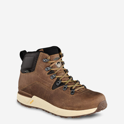 Irish Setter Canyon (2856)